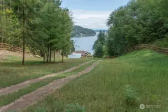 3+ Acres of Pasture. Love horses, or curious about growing an orchard? Let your imagination run wild in the pasture above the house.