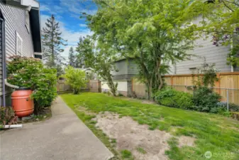side yard