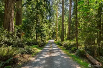 The driveway feels like the gateway to your own magical paradise—winding through lush greenery and offering a sense of privacy, peace, and arrival the moment you enter the property.