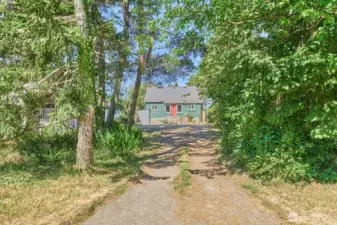 Tucked back from K Place, this classic old Seaview home has a bit of an invisibility cloak