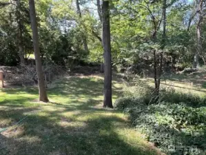Secluded yard with