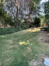 Yard area