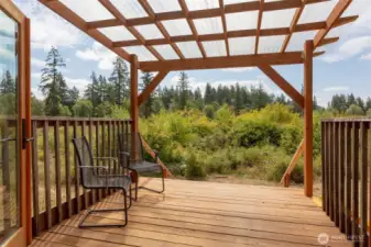 Deck off living room of Tiny House