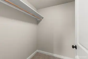 Walk in closet in lower level primary bedroom.