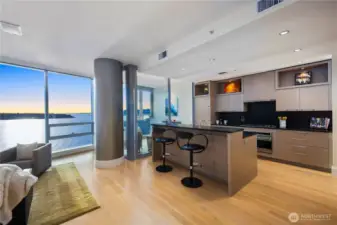 Chef's kitchen with high end appliances