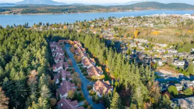 Adjacent to the Anacortes Forrest Lands and Trails