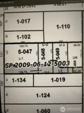 Darker gray is easement to access the three subject lots.  Easement is off Wapato at Real Estate Sign post.
