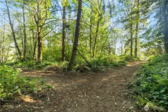 Over 3 Acres of Trails for Exploring/Dirt Bikes/ 4 Wheeling