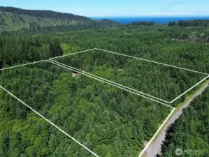 10 Private Fenced Acres