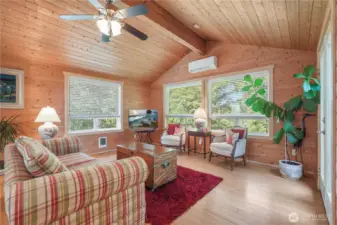 Living Room features door to patio, several windows and a mini split heat pump for efficient heating and cooling