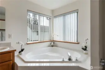 Primary ensuite with huge corner soaking tub.