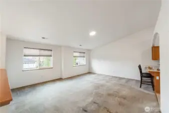 Huge living room