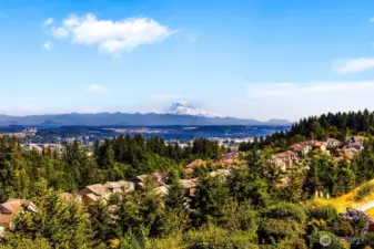 Sweeping views of the Valley and Mt. Rainier that you don't often get in this area.