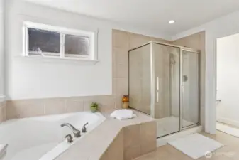Master bathroom