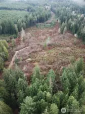 5 acres of secluded land for a residential home site