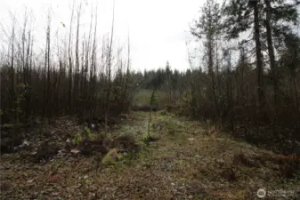 5 acre lot on Taylor Mountain Maple Valley
