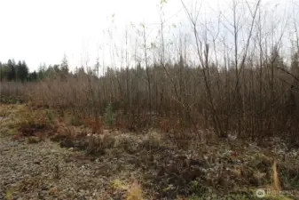 Secluded, Private, Brush