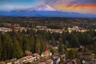 Views of Mt. Rainier from the rear of the house.