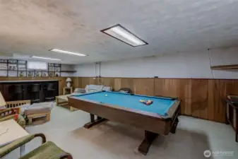 Massive rec room in lower level