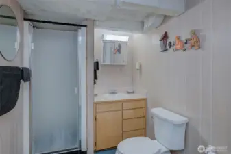 Lower level bathroom
