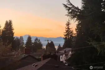 Sunset and the Olympic Mountains (and a little bit of Puget Sound) from the unit.