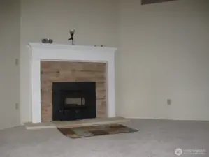 Cozy fireplace insert for those chilly Northwest evenings.