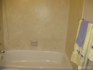 Hallway Full Bath Tub