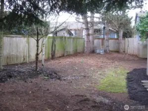 Spacious backyard for fun and games!