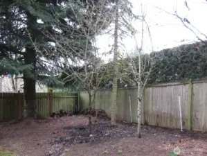 Mini Orchard enjoys several fruit trees - just starting to bloom!