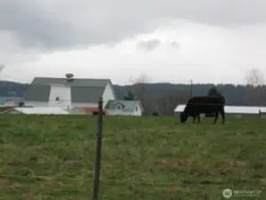Magnolia Cattle Company Farm - only minutes away!  Magical Acres!