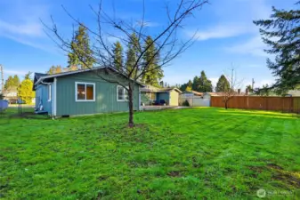 Level backyard, fruit trees are ready for spring