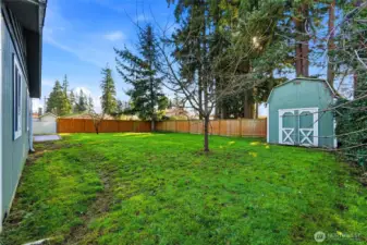 Fruit trees ready for spring!