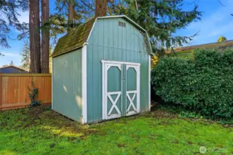 Shed in backyard