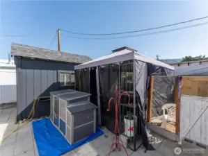 Gazebo & Chicken Coop