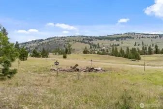 This is the site of where the old house sat. Only the remnants of the old foundation remain. Please be extra careful when walking around this area.