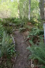 A path leads to the level area with a fire pit and partial sunset view over the water.