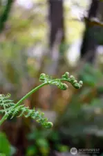 Spring growth!