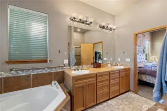 Primary on suite with large closet on main floor