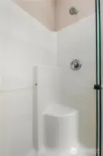Primary Shower