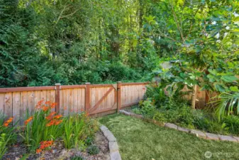 A mature fig tree, colorful flowers and completely fenced yard. The yard backs to a wooded 16 acre equestrian property.