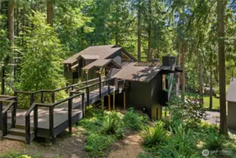 Feels Like You Are Living Amongst The Trees In This One-Of-A-Kind Home.