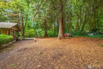 Property has beautiful cedar trees, maples, and other evergreens.