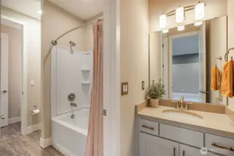 Jack and Jill Bathroom 2