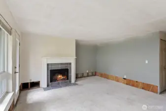 Wood burning fire place