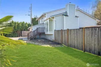Palm Tree and Front Yard