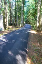 Recently paved community private driveway.