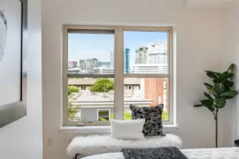 City views from for the bedroom.