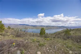 Site #5
