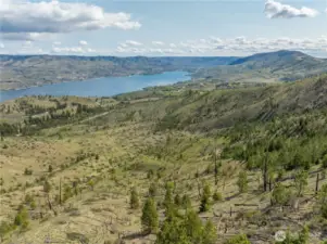 The upper reaches of the property, teeming with wildlife and bordering public lands.