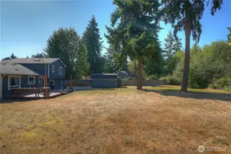 So much room to roam!!